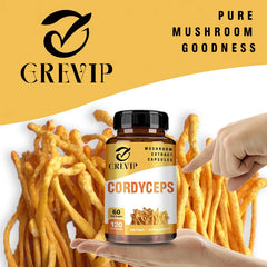 Cordyceps Mushroom Brain Supplement