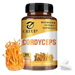 Cordyceps Mushroom Brain Supplement