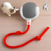 Interactive Cat Toy Ball with Motion Sensor