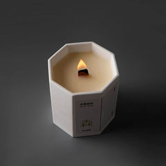 Homemade Aromatherapy Candle in Gypsum Cup