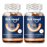 Mushroom Gummies Brain & Immune Support