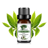 Natural Plant Aromatherapy Oil