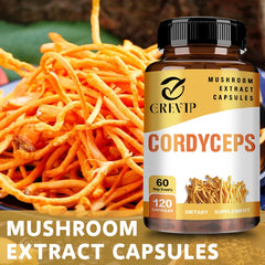 Cordyceps Mushroom Brain Supplement