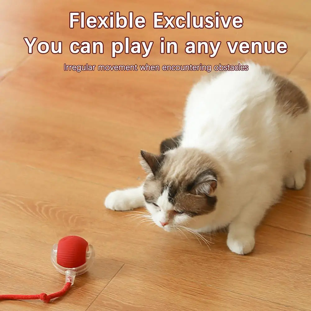 Interactive Cat Toy Ball with Motion Sensor
